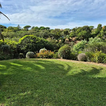 Les Palmiers De Beauvallon Villa Port Grimaud