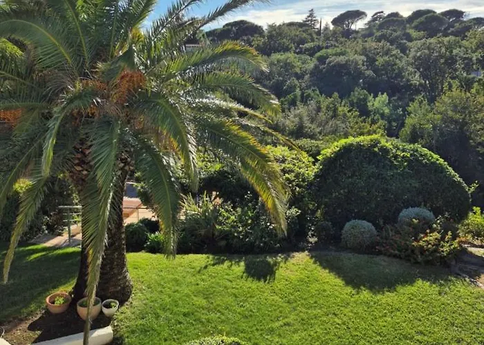Les Palmiers De Beauvallon Villa
