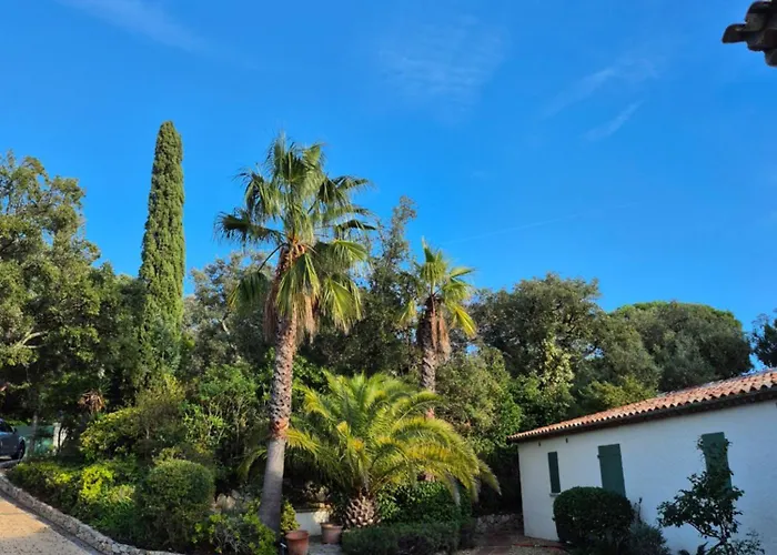 Les Palmiers De Beauvallon Villa